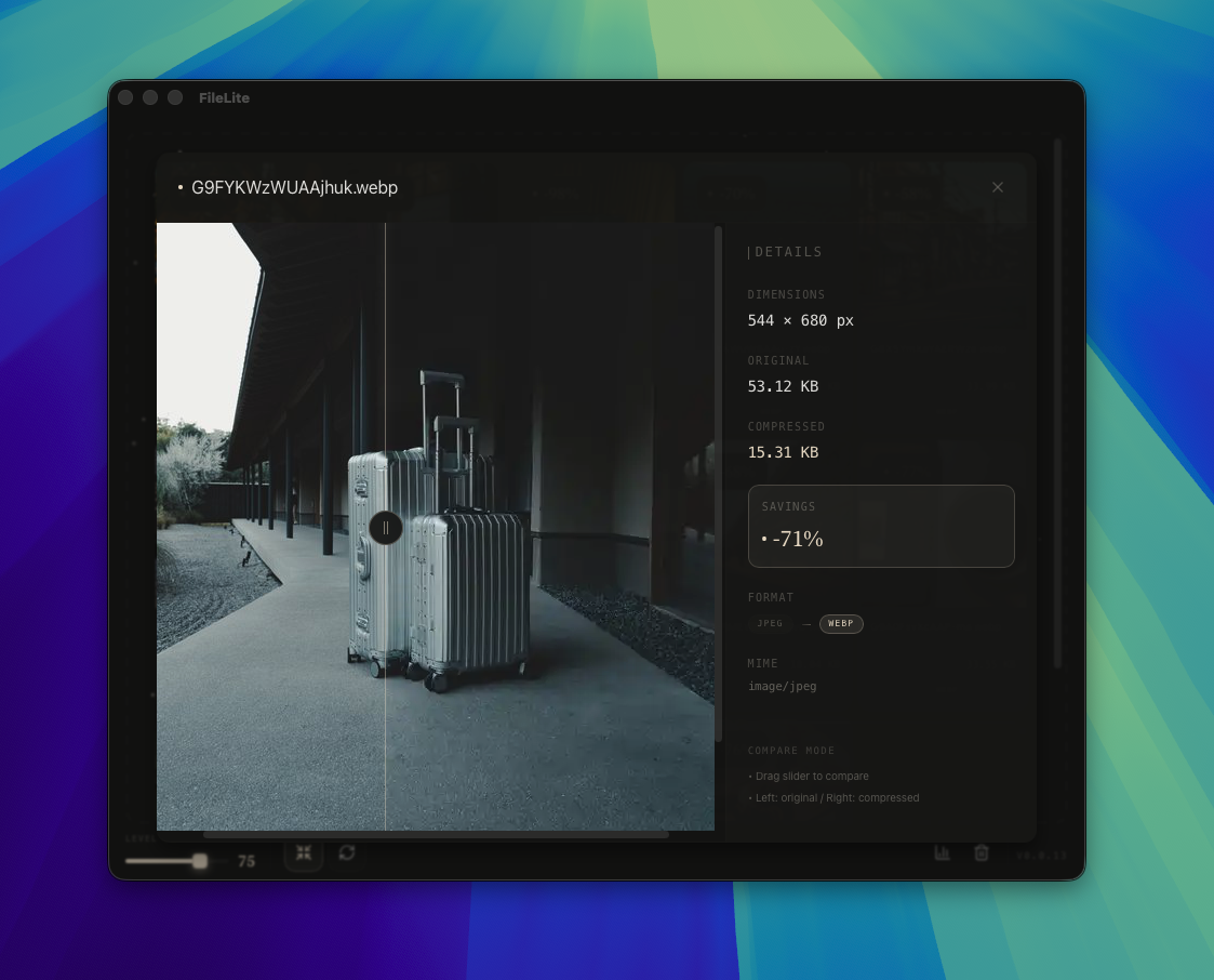 Side-by-side image comparison view in FileLite showing before and after compression results with interactive zoom controls and quality metrics