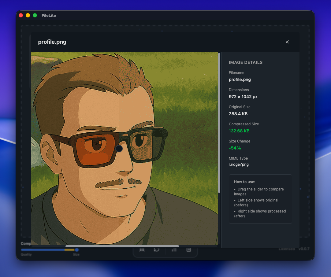 FileLite image comparison view