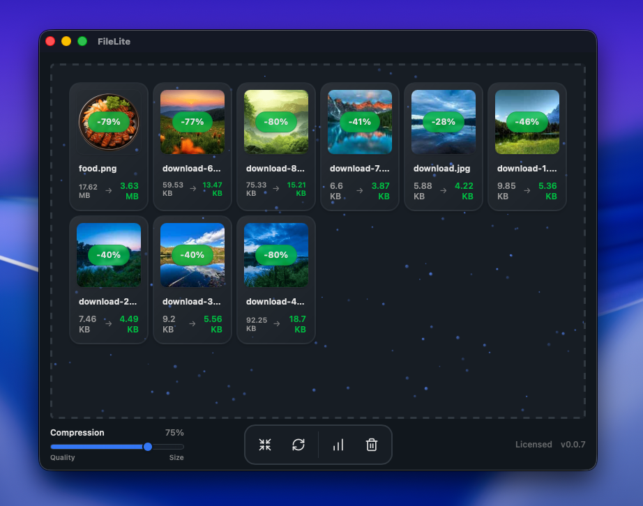 FileLite compress only feature demonstration